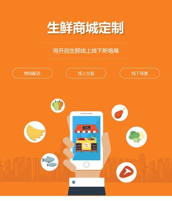 生鮮批發(fā)商城開發(fā)水果商城系統(tǒng)定制積分拼團(tuán)系統(tǒng)公眾號制作-旺鋪貓