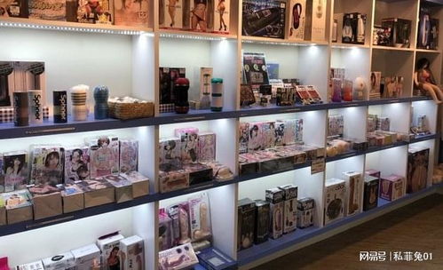 中國成人用品市場的迅猛發(fā)展與網(wǎng)店開設(shè)指南